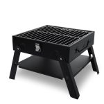 Activa Picnic Barbecue