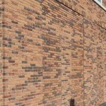 NELISSEN Slip Premium - 20.5 x 5 x 2 cm